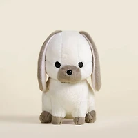Mini Lop Bunni the Lop Rabbit