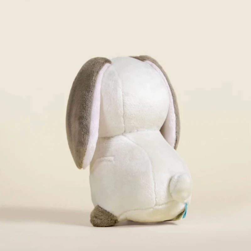 Mini Lop Bunni the Lop Rabbit