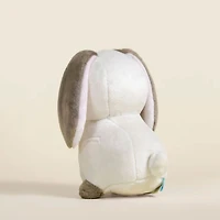 Mini Lop Bunni the Lop Rabbit