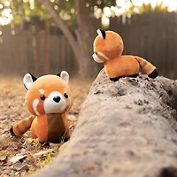 Mini Pandi The Red Panda
