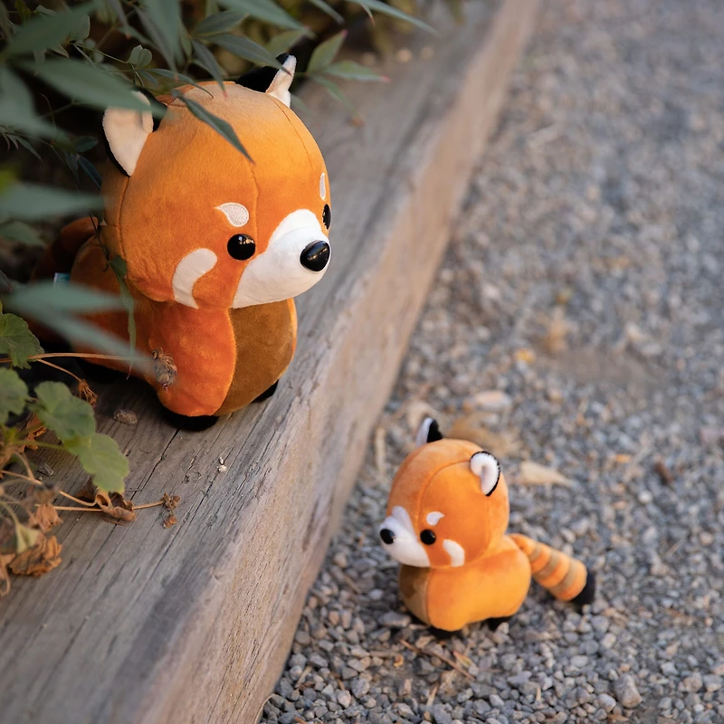 Mini Pandi The Red Panda
