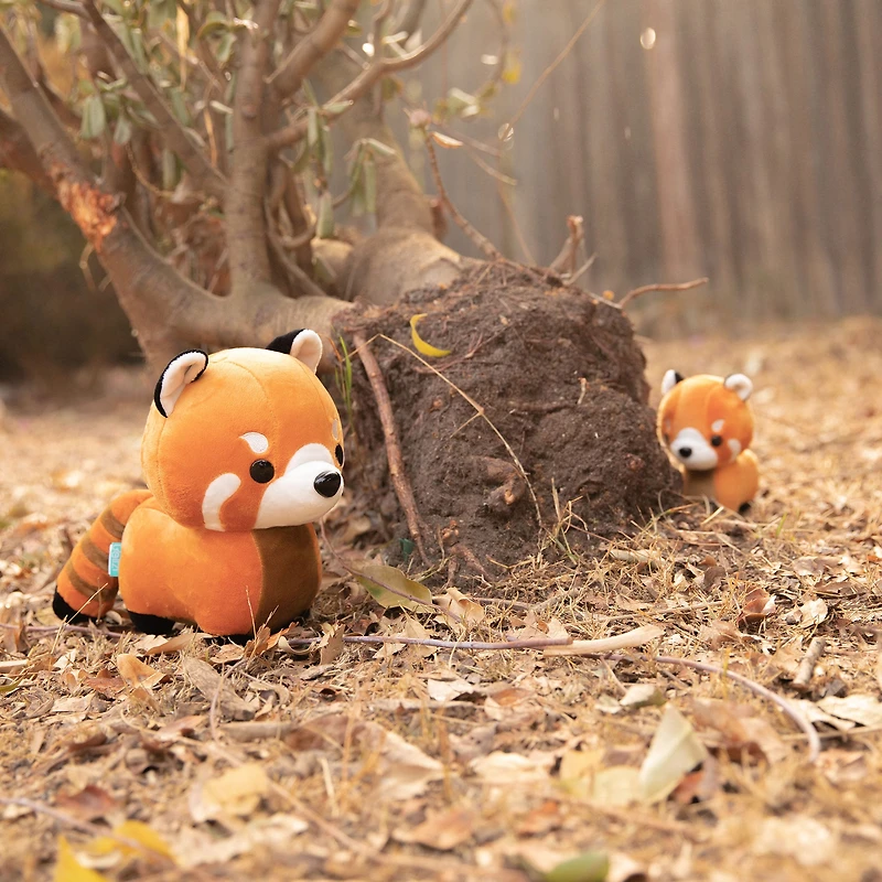 Mini Pandi The Red Panda