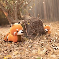 Mini Pandi The Red Panda