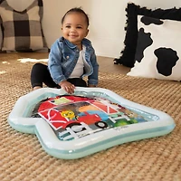 Cal’s Sensory Barn Water Mat
