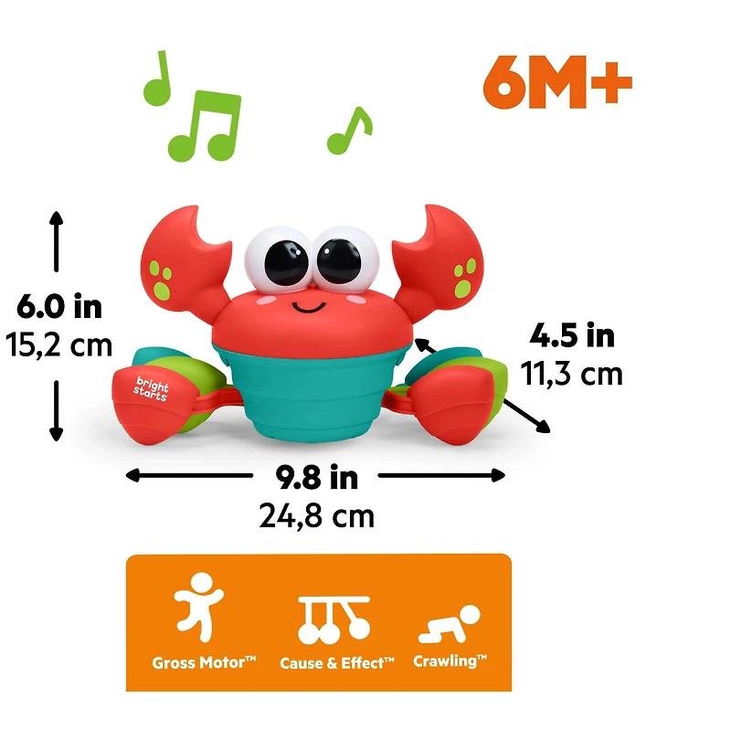 Rockin’ Crawling Crab activity toy
