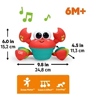 Rockin’ Crawling Crab activity toy