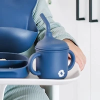 Silicone Straw Sippy Cup - Blueberry