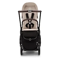Dragonfly Stroller - Black /taupe