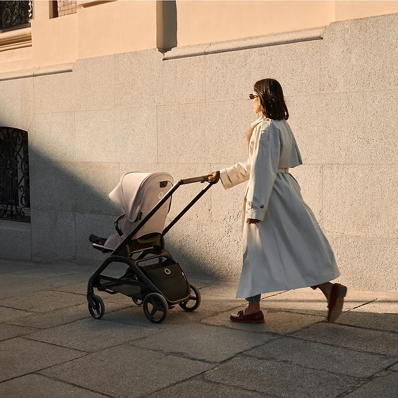 Dragonfly Plus Stroller