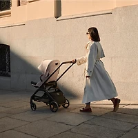 Dragonfly Plus Stroller