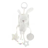 White Bunny Activity