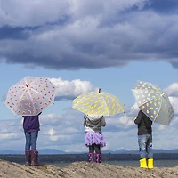 Parapluie Melon d'eau