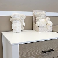 Blanket Plush Bear
