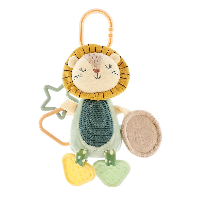 Lion Mirror Activity