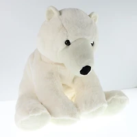 Ours Polaire
