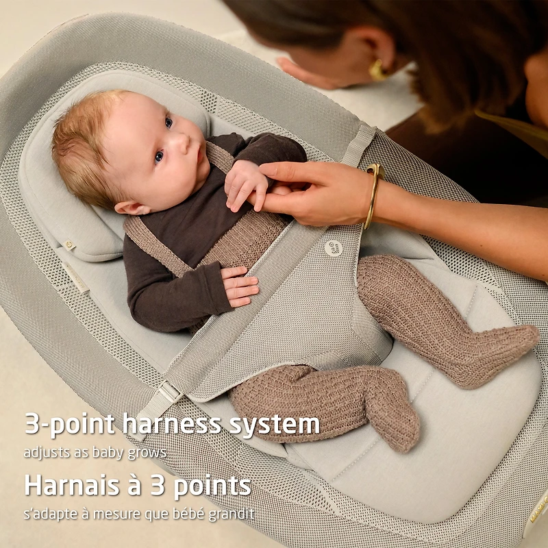 Bouncer Dove Pro - Elegance Graphite