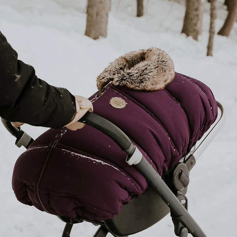 Winter Cover C.S Plum