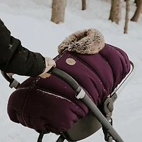 Winter Cover C.S Plum