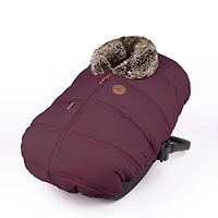 Winter Cover C.S Plum
