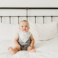 Baby Bandana Bibs Set of 4 - Dinosaurs Rex