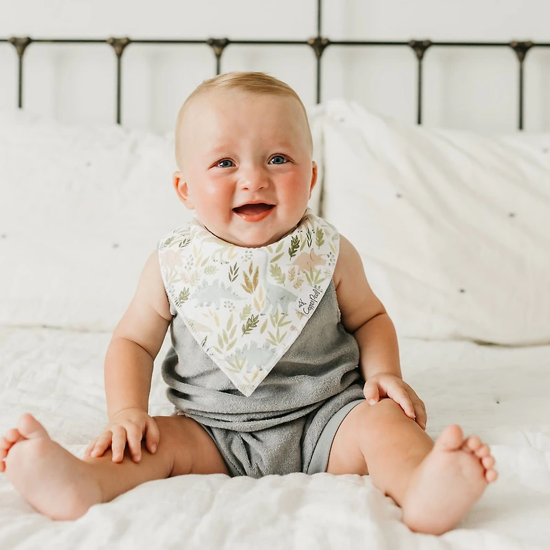 Baby Bandana Bibs Set of 4 - Dinosaurs Rex