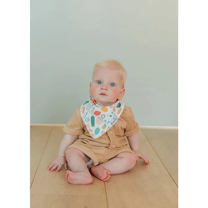 Baby Bandana Bibs Set of 4 - Veggies