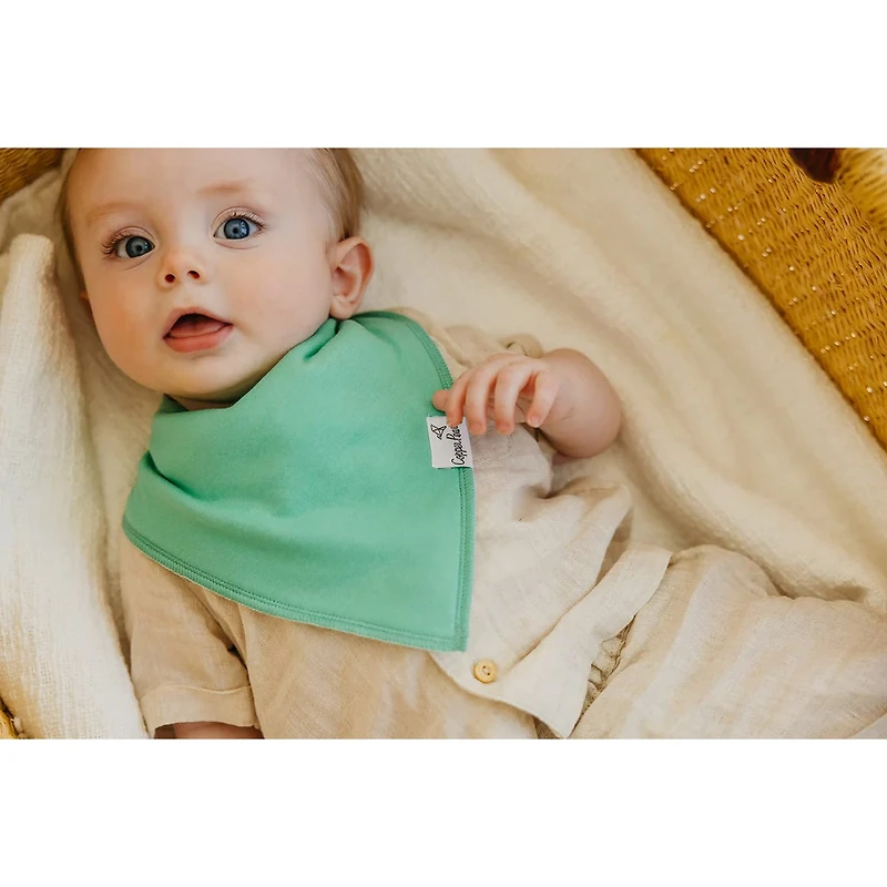 Baby Bandana Bibs Set of 4 - Veggies
