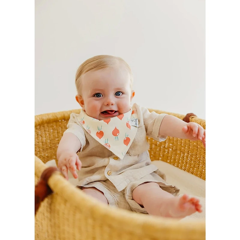 Baby Bandana Bibs Set of 4 - Veggies