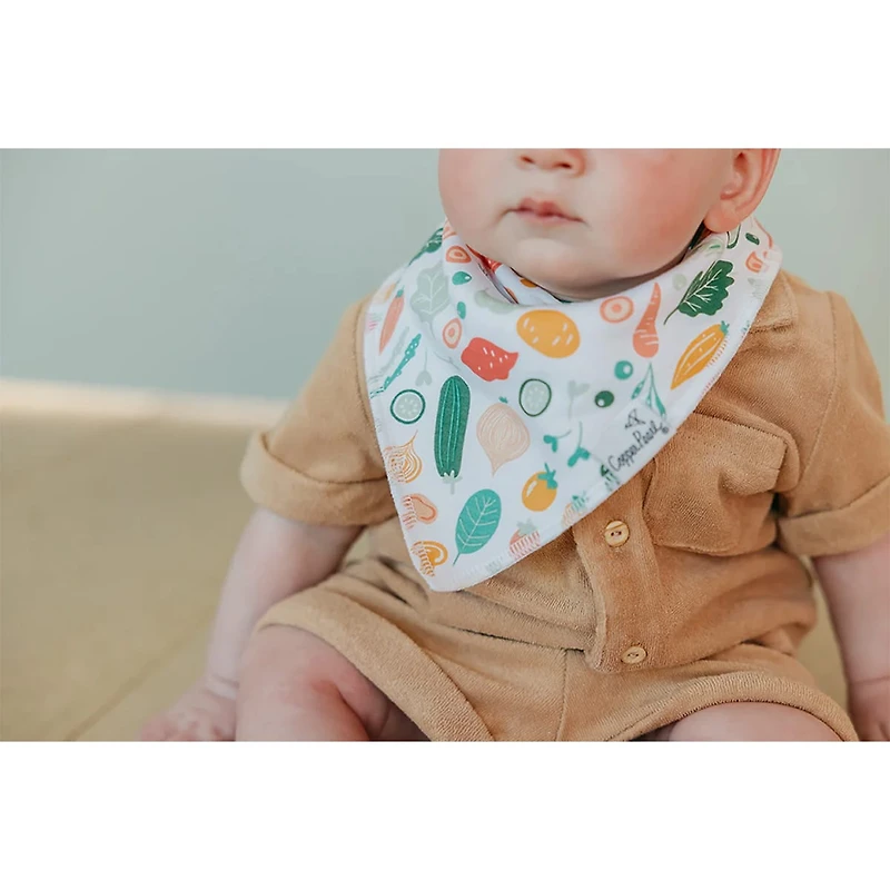 Baby Bandana Bibs Set of 4 - Veggies
