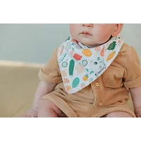 Baby Bandana Bibs Set of 4 - Veggies