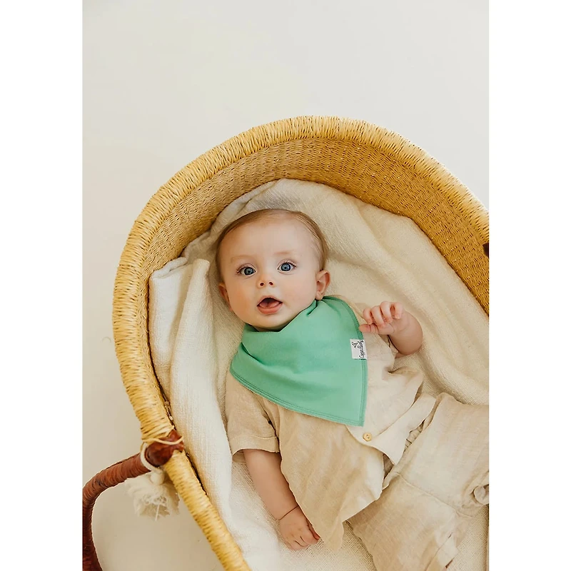 Baby Bandana Bibs Set of 4 - Veggies