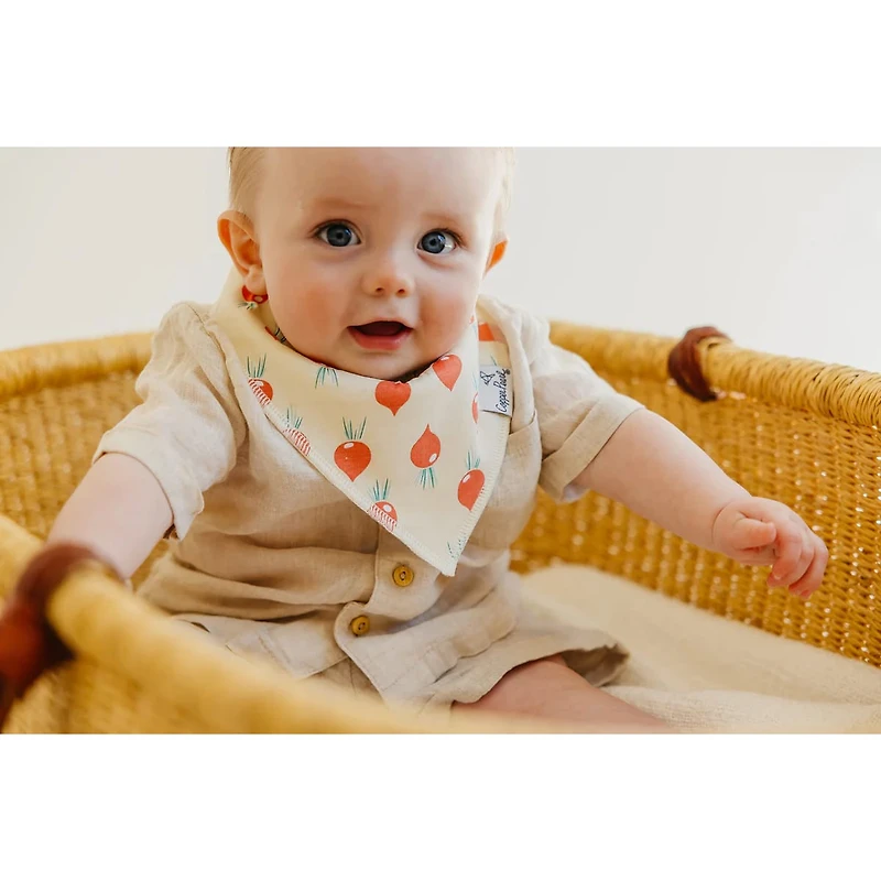 Baby Bandana Bibs Set of 4 - Veggies