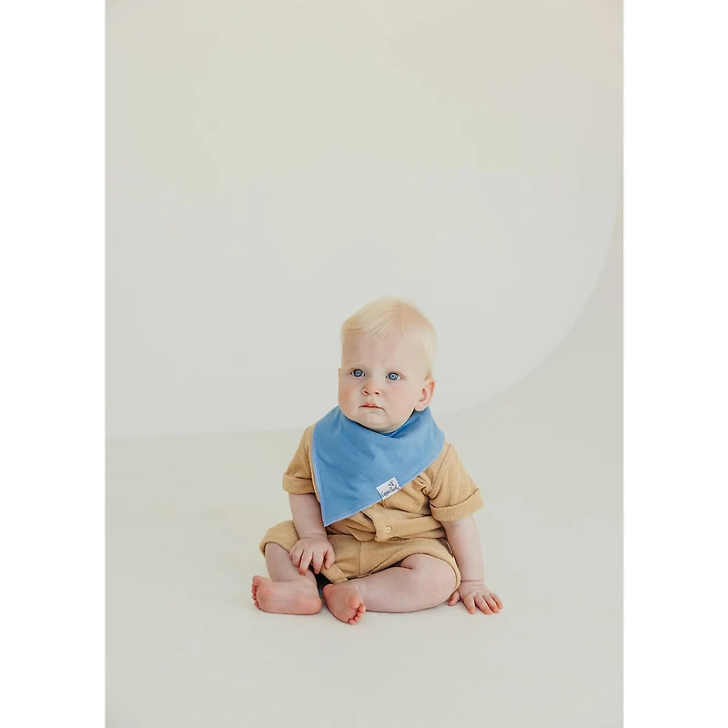 Baby Bandana Bibs Set of 4 - Veggies