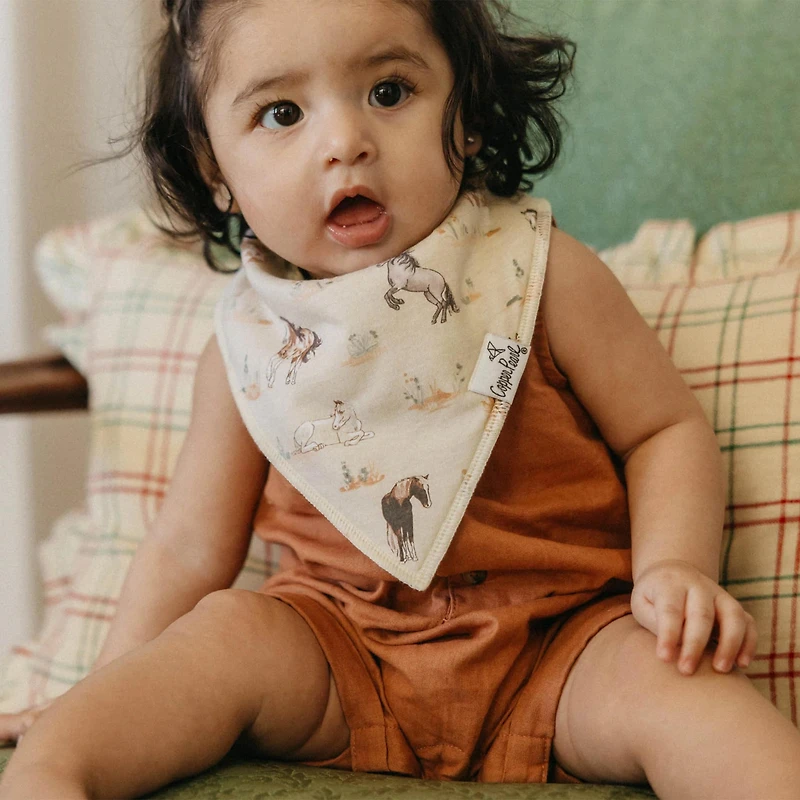 Bandana Bib Set(4)Horse