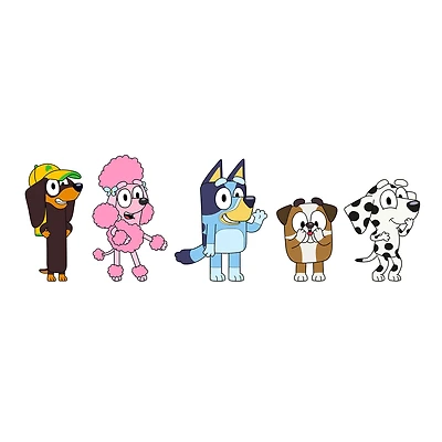 Paquet de 5 Jibbitz - Bluey
