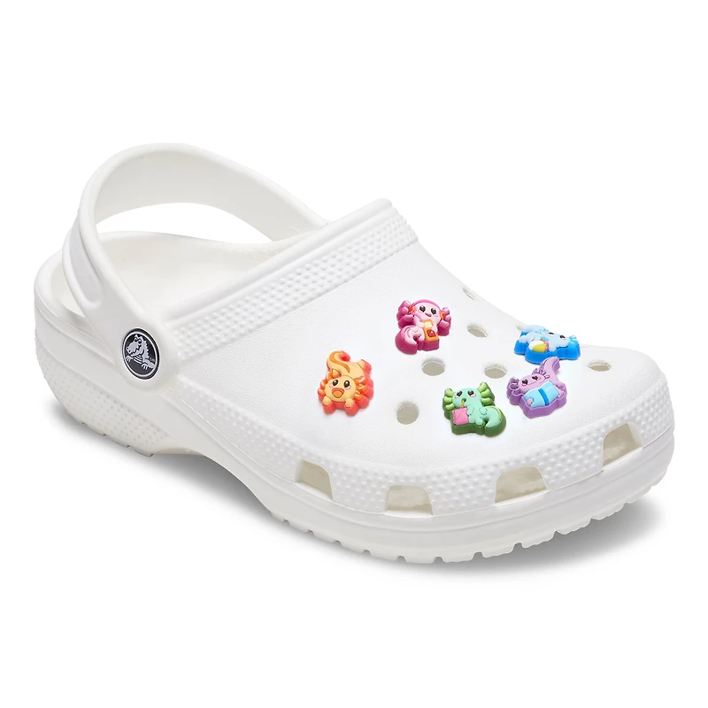 Paquet de 5 Jibbitz -Axolotis