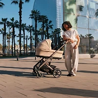 Landau Balios S Lux - Gris