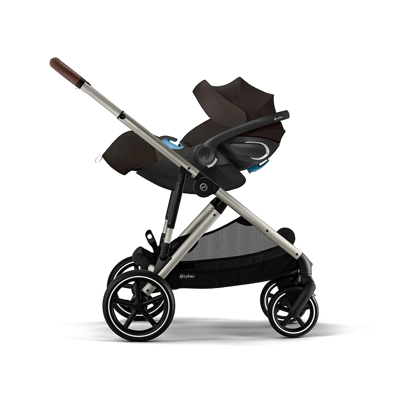 Cloud G Pro with Load Leg Base - Chocolate Brown