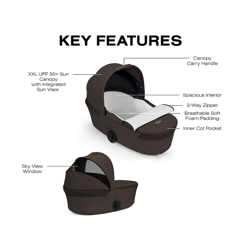 BALIOS Fold Cot - Chocolate Brown