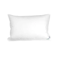 Pillow and a pillowcase 12" x 16"