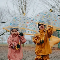 Umbrella - Space