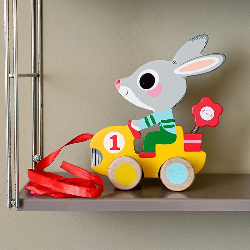 Pull Along Toy - Roulapic