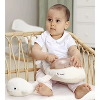 Ensemble Baleine et son Bébé Tranquil Whale™