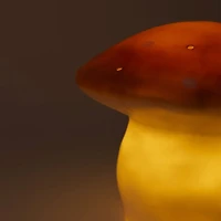 Lampe Champignon - Terra
