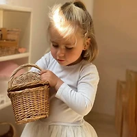 Pic Nic Basket