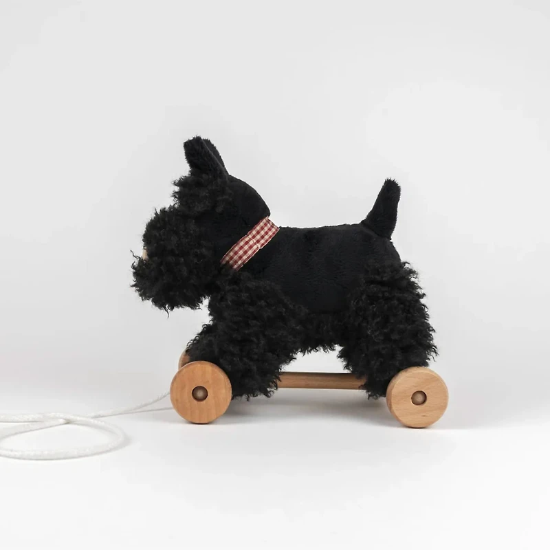 Chien Walter à Tirer