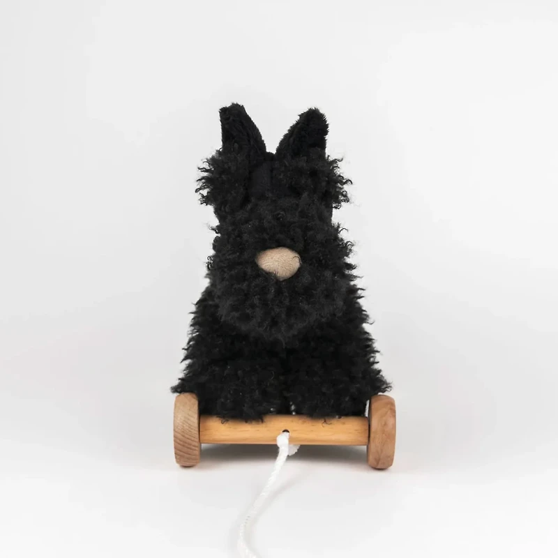 Chien Walter à Tirer
