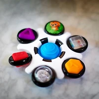  Baby Einstein Curiosity Clutch Fidget Sensory Toy
