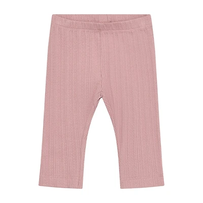 Pointelle Legging 3-24m