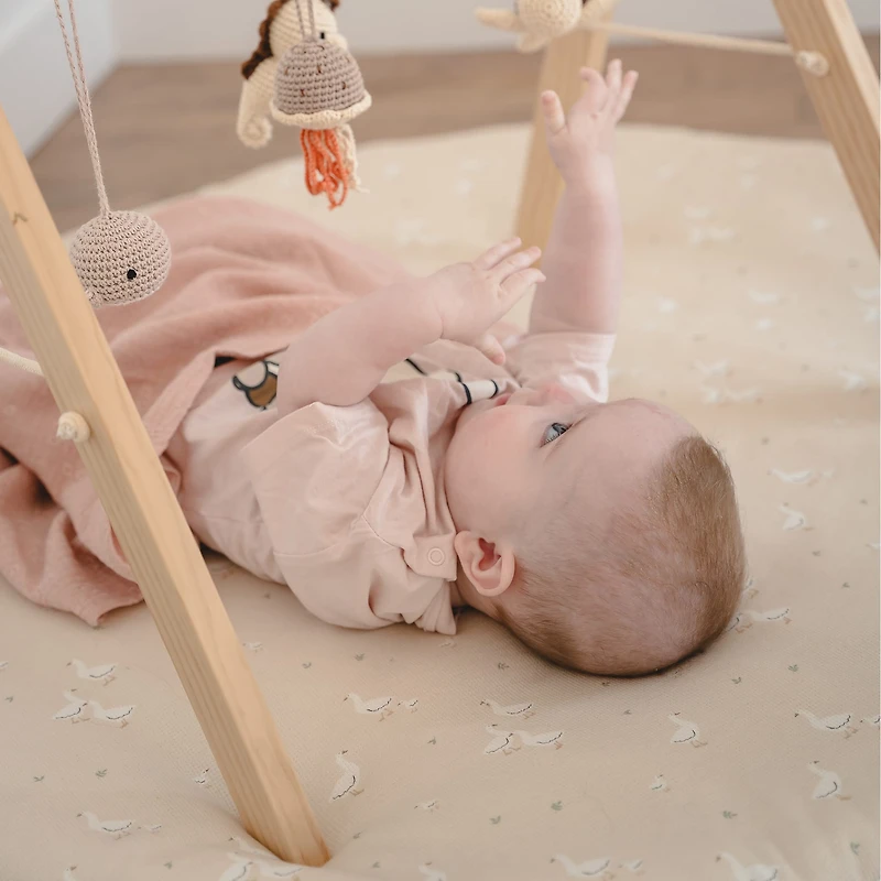 Tapis les Petites Oies